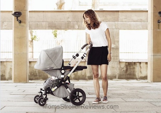 Bugaboo cameleon stroller age best sale