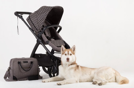 cosmopolitan-geo-stroller17